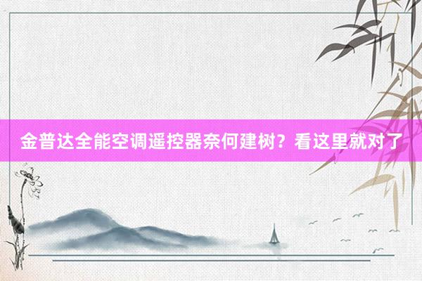 金普达全能空调遥控器奈何建树？看这里就对了