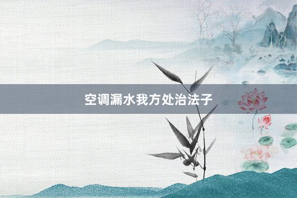 空调漏水我方处治法子